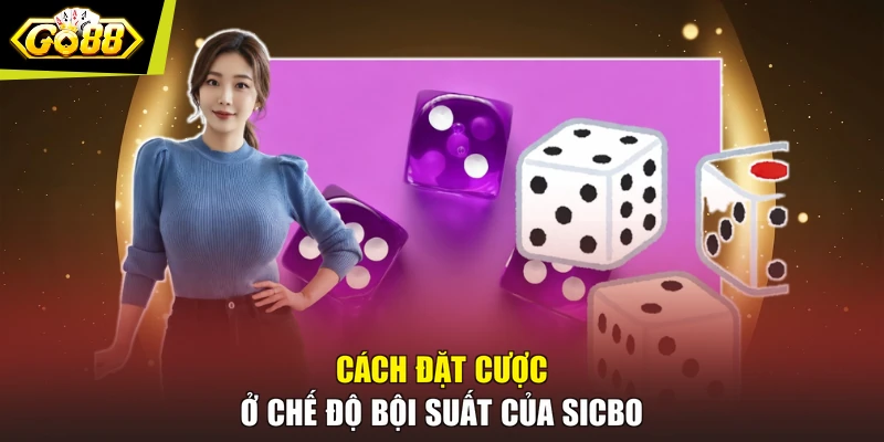 Cách đặt cược ở chế độ bội suất của Sicbo