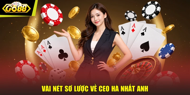 Vài nét sơ lược về CEO Hà Nhất Anh